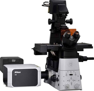 AX/AX R with NSPARC Super-Resolution Confocal Microscope