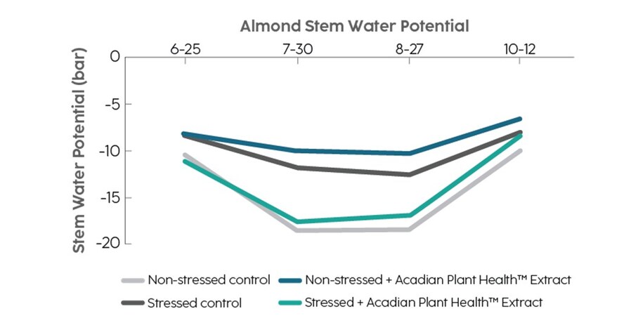 Read more about the article Acadian Plant Health™ almond study in California shows that biostimulants improved water use despite regional record temperatures