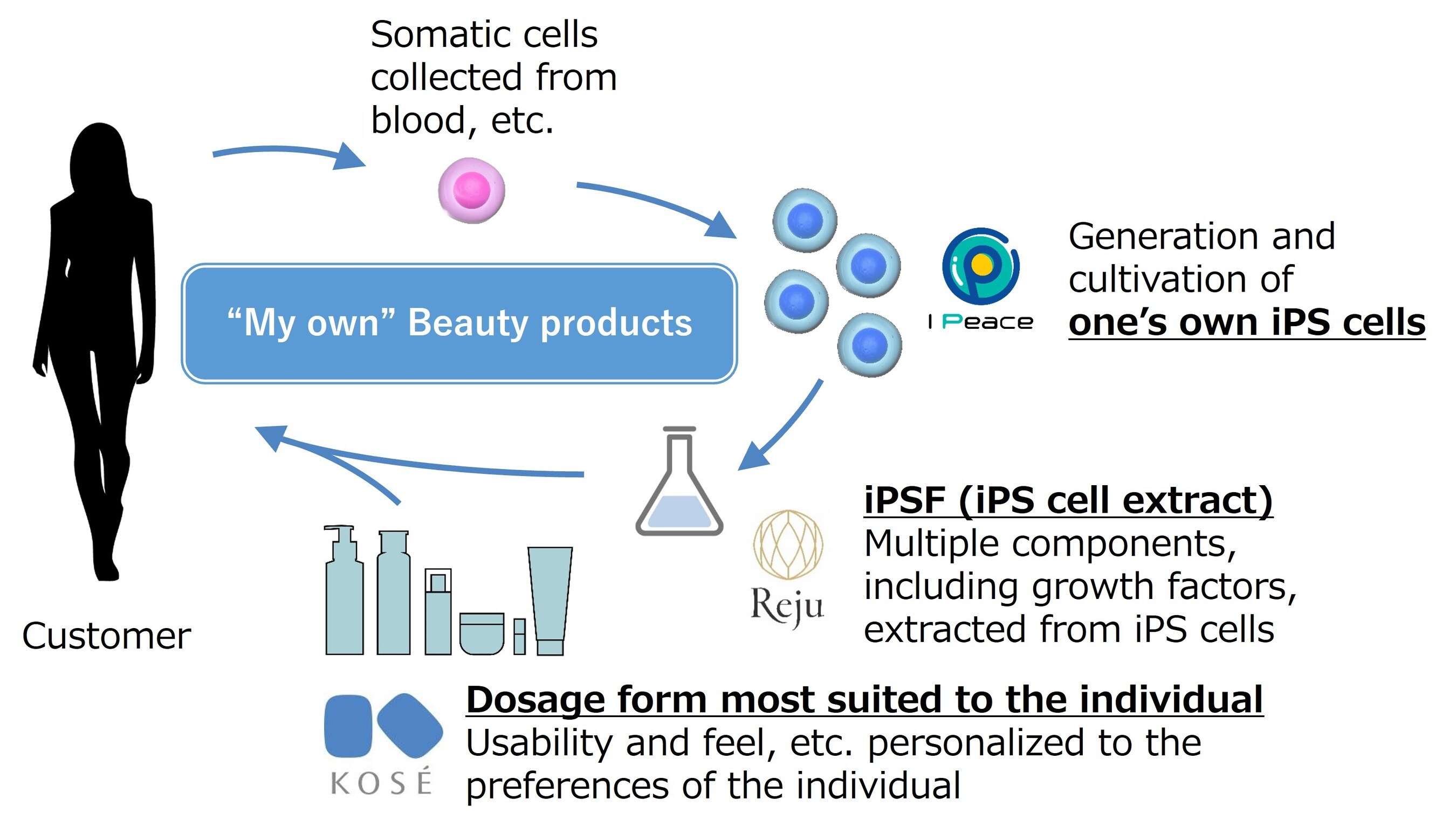 KOSÉ, I Peace, and Reju Enter Strategic Partnership to Develop Personalized Beauty Products Based on iPS Cells