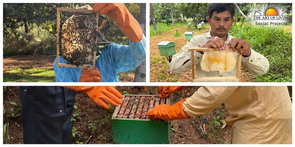 Knowledge gained at honeybee training sessions