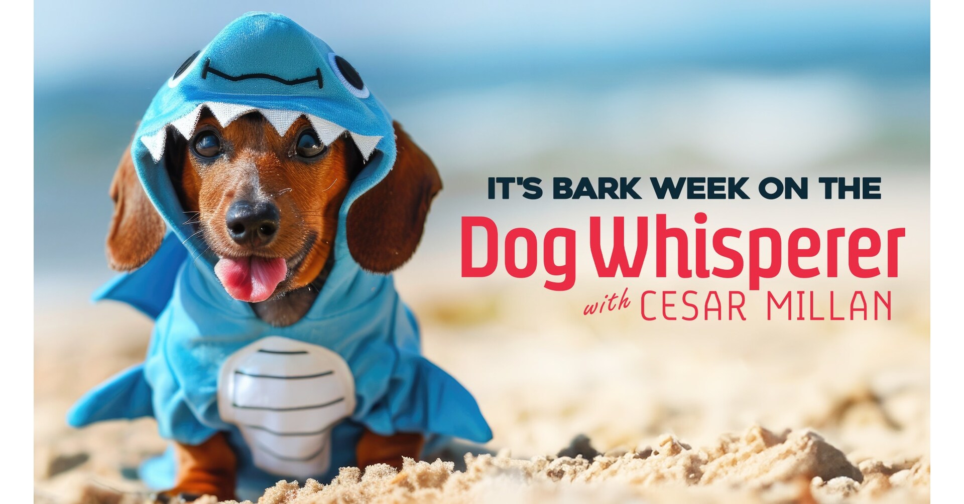 Cineverse's 'Dog Whisperer With Cesar Millan' FAST Channel Celebrates