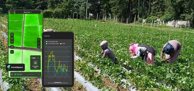 O FarmiSpace da DataYoo transforma a agricultura com dados de satélite de alta resolução, oferecendo uma precisão inigualável de 3x3m. Esta plataforma acessível capacita os agricultores em todo o mundo, aumentando a produtividade e a sustentabilidade. Com recursos como gerenciamento digital de campo e reconhecimento de culturas por IA, a FarmiSpace democratiza a agtech avançada. Histórias de sucesso da Guatemala e de São Cristóvão mostram aumentos significativos de rendimento e economia de recursos, posicionando a DataYoo como líder em agricultura de precisão.