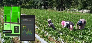 A DataYoo revoluciona a agricultura de precisão com a plataforma FarmiSpace alimentada por satélite de IA