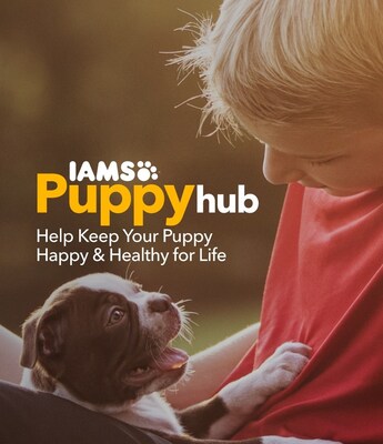 IAMS™ launches online Kitten Hub and Puppy Hub providing expert resources to pet parents across Canada. (CNW Group/Mars Petcare)