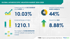 Laparoscopic Ablation Market size is set to grow by USD 1.21 billion from 2024-2028, Increasing prevalence of chronic diseases to boost the market growth, Technavio