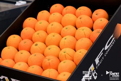 Photo shows the fresh oranges of Australia's Mildura Fruit Company imported to the Chinese market by Bright Food International Trading (Shanghai) Co., Ltd. (Photo provided by Bright Food International Trading (Shanghai) Co., Ltd.)