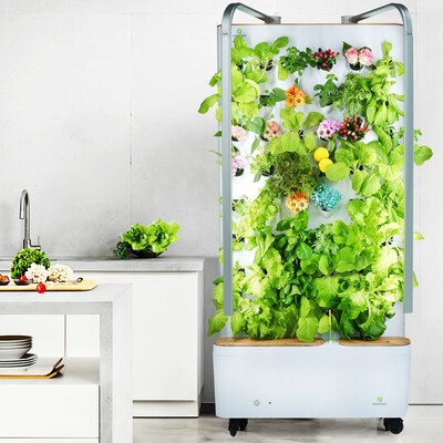 Vertefarm: Summer Special - Hydroponic Home Garden Now Only $650