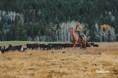 The historic 74 thousand-acre Hat Creek Ranch Collection near Cache Creek, B.C. will be sold as a single block by online escalating bid August 15th at CLHBid.com. (CNW Group/CLHbid.com)