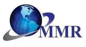 Maximize Market Research Logo