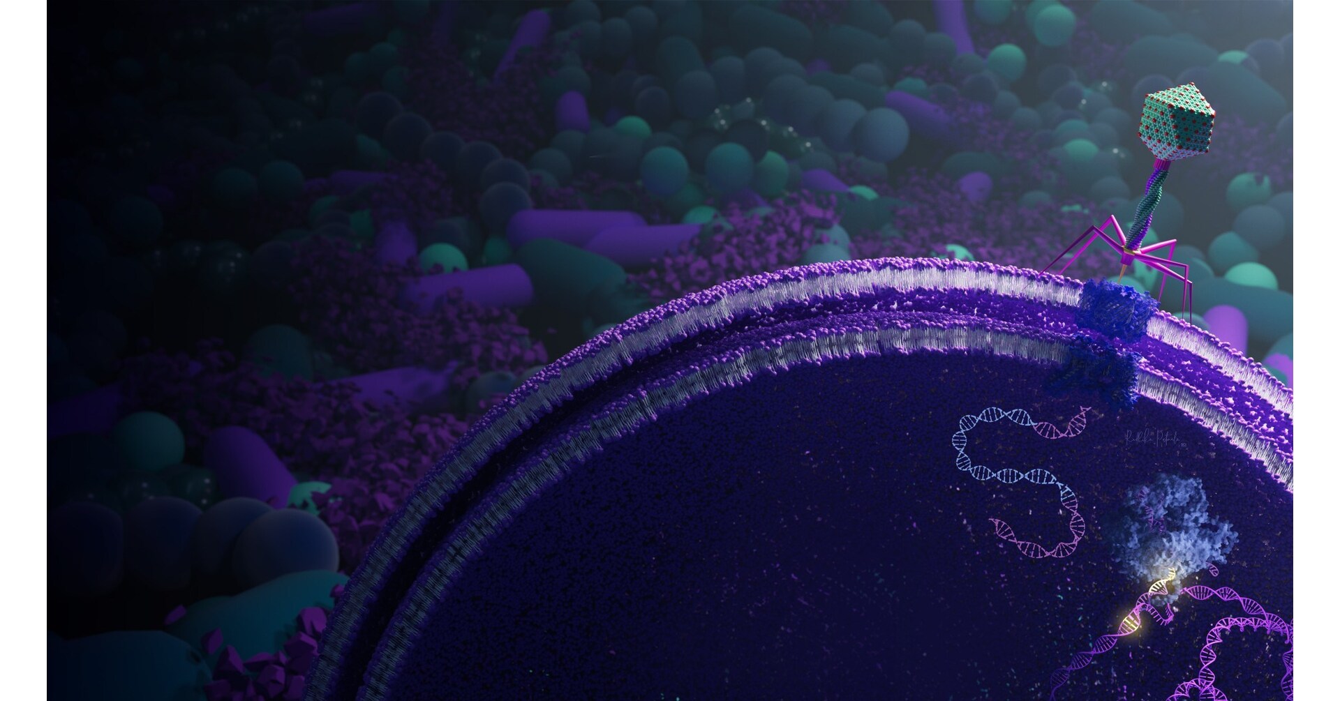 Eligo Publishes in Nature a Landmark Study That Unlocks Genome Editing of Bacteria in the Gut