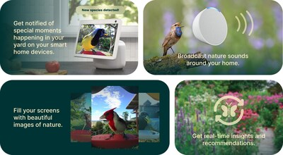"Let the sounds and sights of nature flow seamlessly into your living space by connecting Bird Buddy to your home's smart displays and speakers."