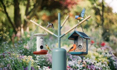"Nature Station ties all Bird Buddy products together and marks a beautiful, designated space in your yard for birds and other nature."