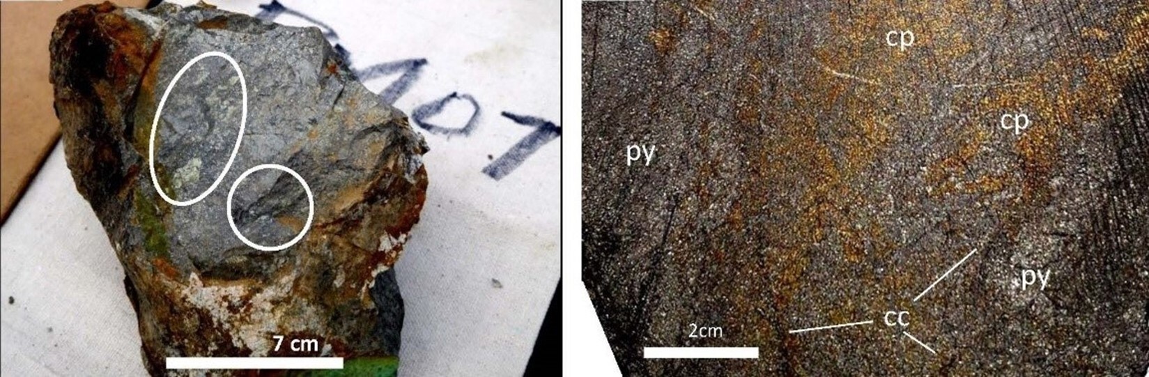 Fig. 1: Sample BM-07: Big Mike High-Grade VMS Mineralization – 17.48% Copper, 0.20% Cobalt
(“cp” = Chalcopyrite, “cc” = Chalcocite, “py” = Pyrite) (CNW Group/Nevada Sunrise Metals Corporation) Fig. 1: Sample BM-07: Big Mike High-Grade VMS Mineralization – 17.48% Copper, 0.20% Cobalt
(“cp” = Chalcopyrite, “cc” = Chalcocite, “py” = Pyrite) (CNW Group/Nevada Sunrise Metals Corporation)