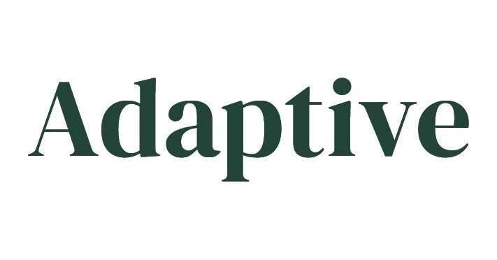 Adaptive Closes $19M Series A to Transform Construction Finance with AI ...