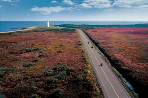 How to "Fall" in Love with New Brunswick: From New Breakfast with Seals Journey to Stunning Peat Bog Foliage