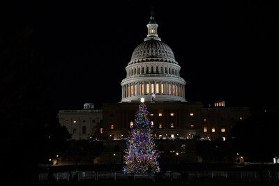 U.S. Capitol Christmas Tree