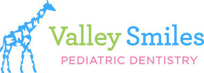 Valley Smiles Pediatric Dentistry of Ramsey, NJ Announces New Website