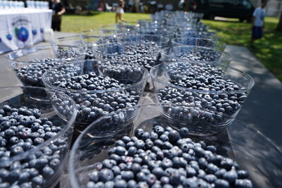 Over 80 lbs of blueberries were consumed by the professional competitive eaters during the event.