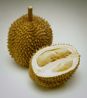 Malaysia Leads the Charge on Trending Durian Tourism with Newly Announced Travel Experiences