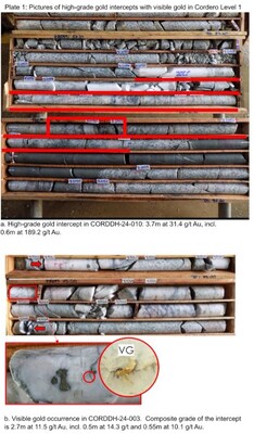 Figure 5 Pictures of high-grade gold intercepts with visible gold in Cordero Level 1 (CNW Group/Soma Gold Corp.)