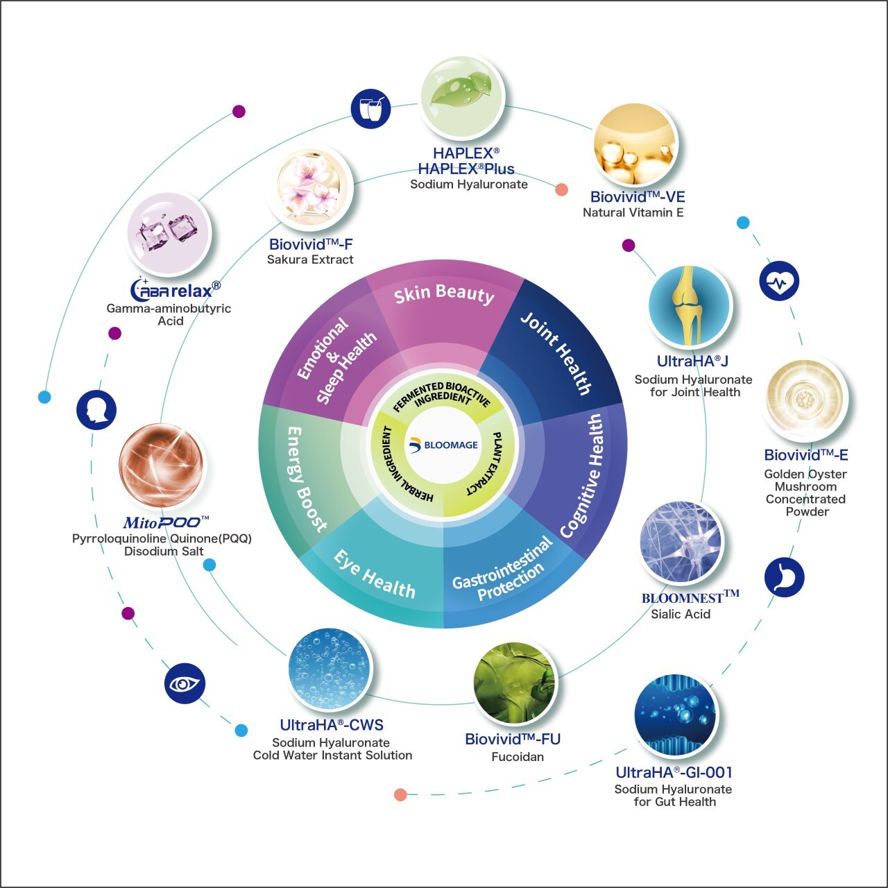 Bloomage Launches MitoPQQ™ and Presents Hyaluronic Acid Research at IFT FIRST Expo 2024