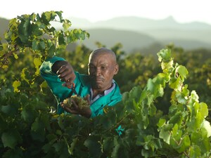 ROBERTSON WINERY - VINS DE QUALITÉ ET DE COEUR