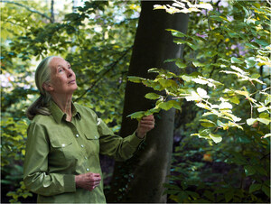 DR. JANE GOODALL RETURNS TO CANADA TWICE THIS FALL AS SHE CONTINUES HER 90TH BIRTHDAY TOUR
