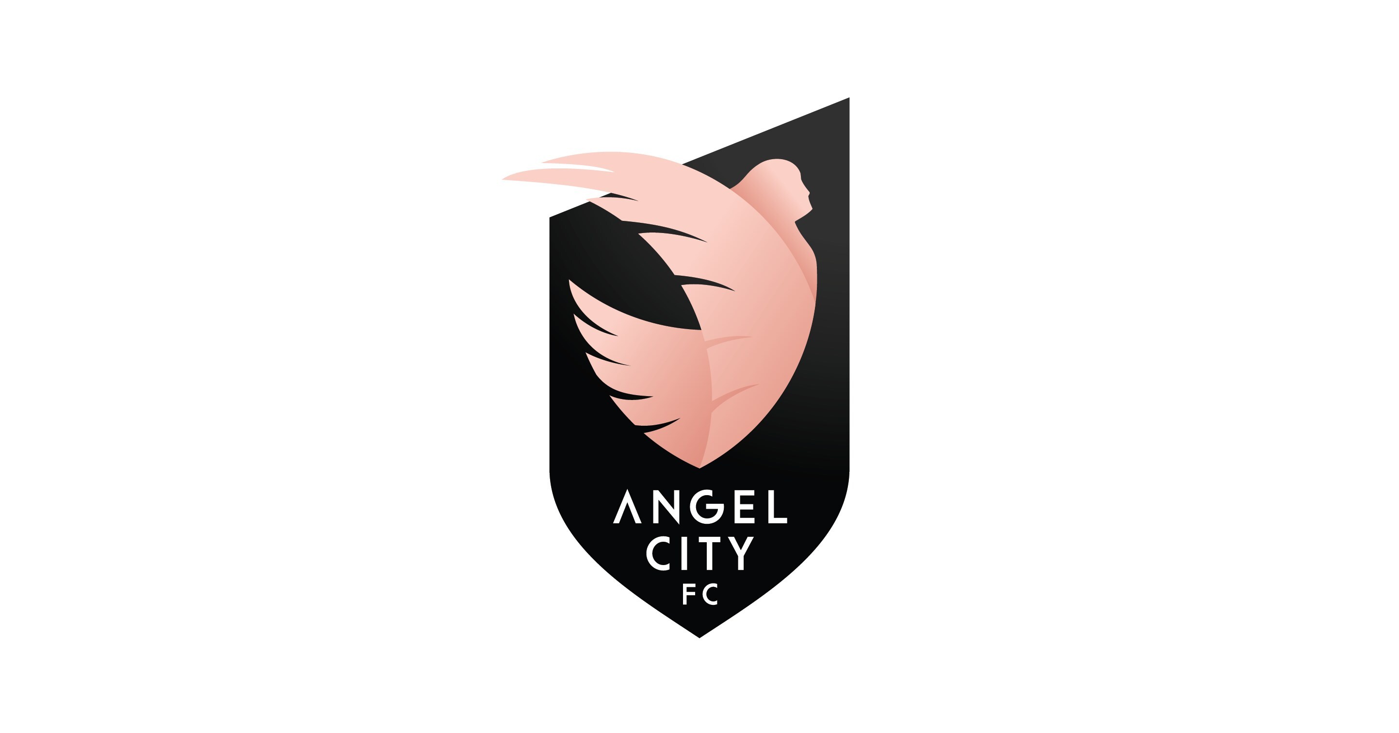 ANGEL CITY FOOTBALL CLUB ENTERS INTO DEFINITIVE AGREEMENT WITH WILLOW ...