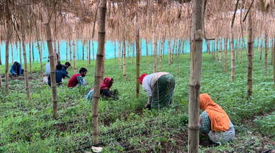 Sustainable Agriculture - Keeping our Ecosystems Healthy & Soil Fertile