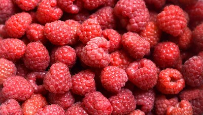 Berries are an exquisite delicacy and, as part of a balanced diet, they can contribute to general good health and help with weight loss.