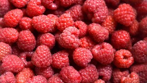 I Love Fruit & Veg from Europe: the beneficial properties of berries