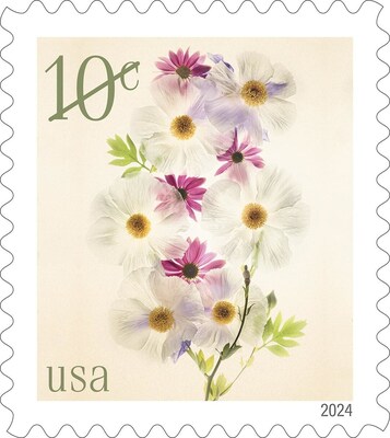 10¢ Poppies and Coneflowers Stamp - United States Postal Service