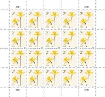 2¢ Daffodils Tulip Stamp (Pane of 20) - USPS