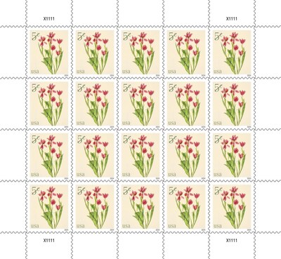 5¢ Red Tulips Stamp (Pane of 20) - USPS