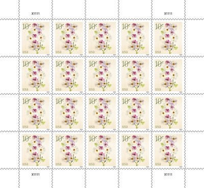10¢ Poppies and Coneflowers Stamp (Pane of 20) - USPS