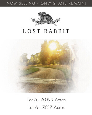 Lost Rabbit