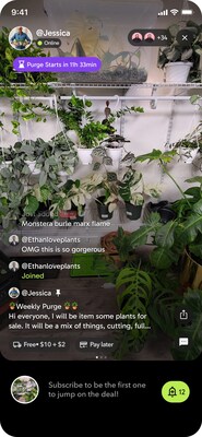 Palmstreet Launches Groundbreaking "Purge" Feature, Transforming the Live Selling and Shopping Marketplace Experience with Limited-Time Deals and Real-Time Interactions