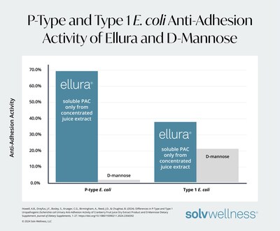 The bioavailable PAC in Ellura was shown to bind to both types of E. coli bacteria, P-type and Type 1, and exhibited favorable AAA, giving participants broader benefit against UTI-causing bacteria when compared to D-mannose.