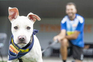 PetSafe® Celebrates One Knox Mascot "Gotcha Day" By Inviting Local Fans to Bring Their Dogs To "Pups At The Pitch Night"