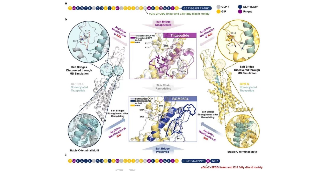 Studie v magaz&iacute;nu Nature odhalila: Př&iacute;pravek BGM0504, navržen&yacute; za podpory uměl&eacute; inteligence a molekul&aacute;rn&iacute; dynamiky, vykazuje zv&yacute;&scaron;enou &uacute;činnost