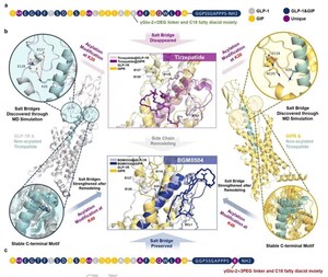 Nature-Studie zeigt: Das mit Hilfe von KI und Molekulardynamik entwickelte BGM0504 besitzt eine überragende Potenz