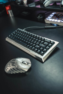 Discover unparalleled luxury and precision with the ZenBlade 65 Magnetic Hall Effect Keyboard by Pwnage. Crafted from premium aerospace-grade aluminum, this keyboard offers a seamless blend of durability and elegance for the ultimate gaming experience.
