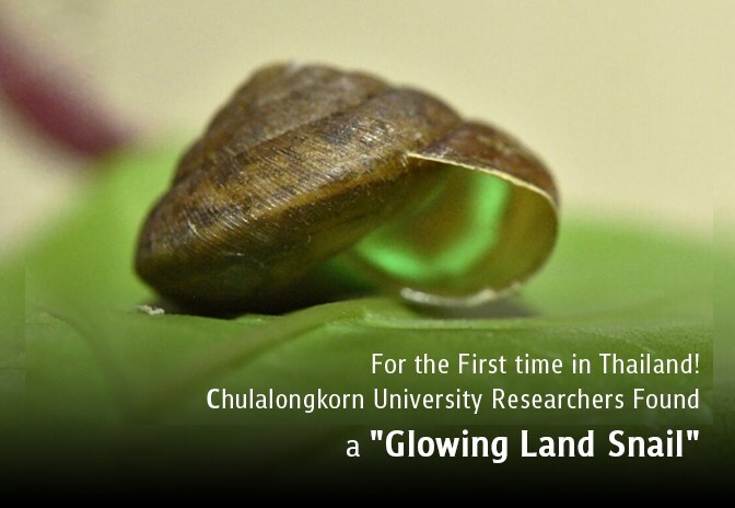 For the First time in Thailand! Chulalongkorn University Researchers Found a 