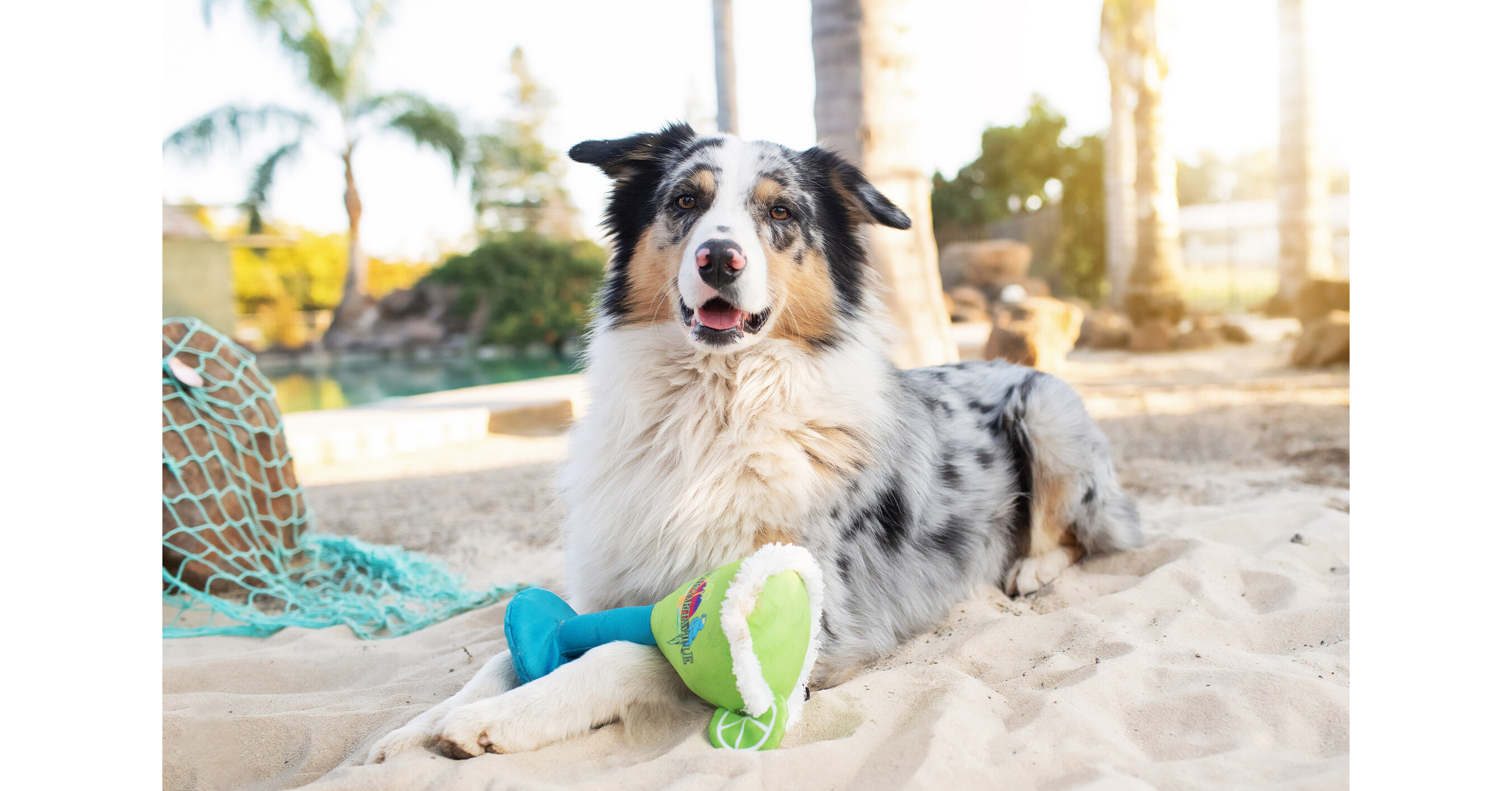 Paws and Paradise: Multipet International, Inc. Launches New Line of Margaritaville Pet Toys