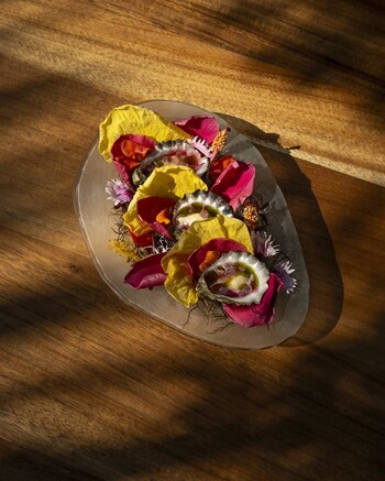 Oysters with Hibiscus Granita