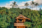 Hotel Wailea Treehouse