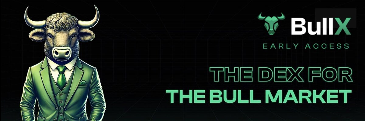 BullX Banner