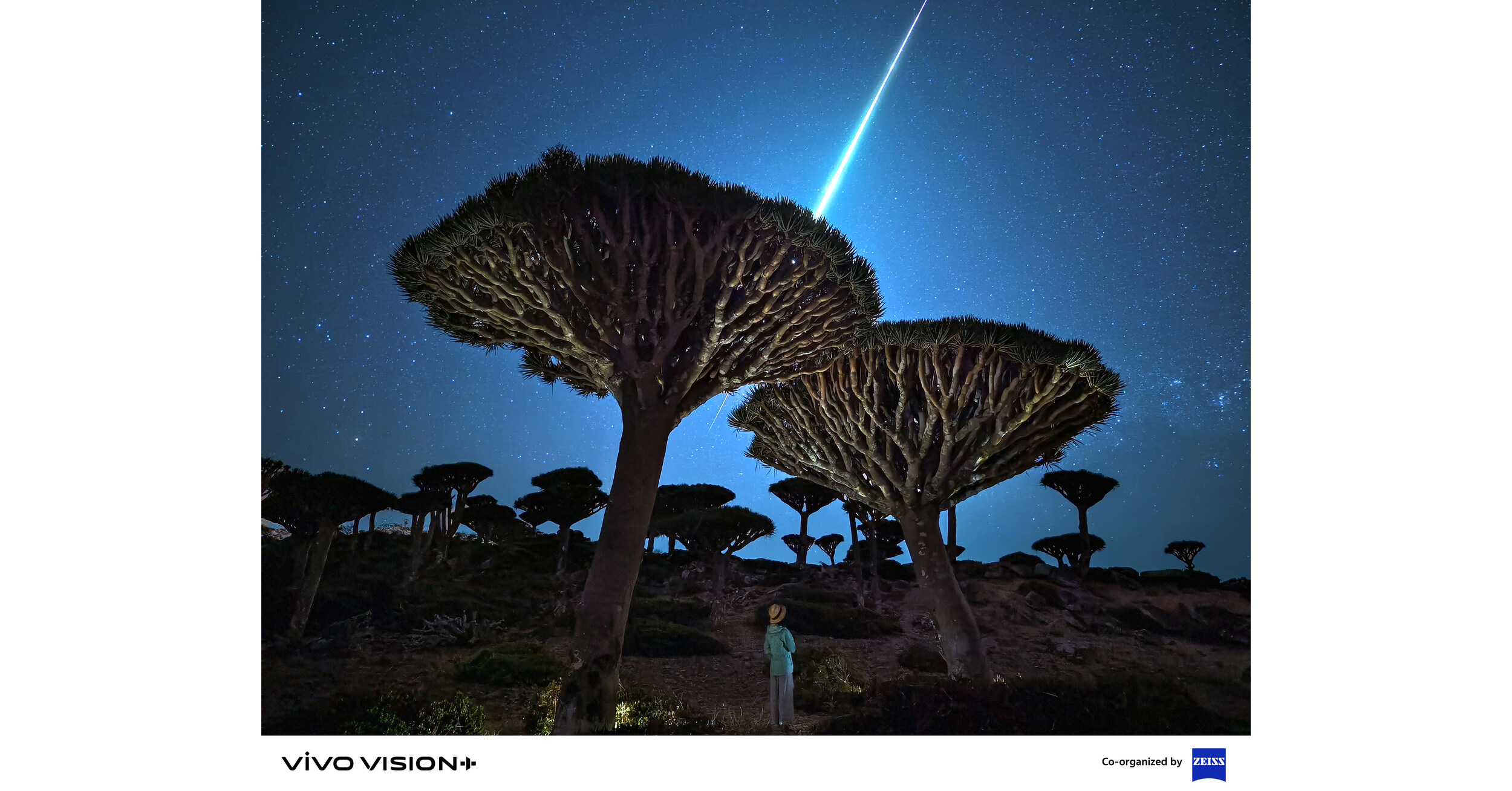 vivo Unveils Future Imaging Trends and Announces Winners of VISION+ Mobile PhotoAwards 2024