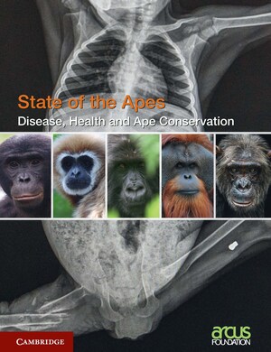 New Report on Disease and Ape Conservation Provides Research and Analysis to Better Understand and Mitigate Zoonoses