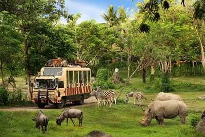 Let's Go Safari!